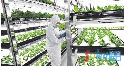 “߲ˈ@”Tڙz߲˵Lr